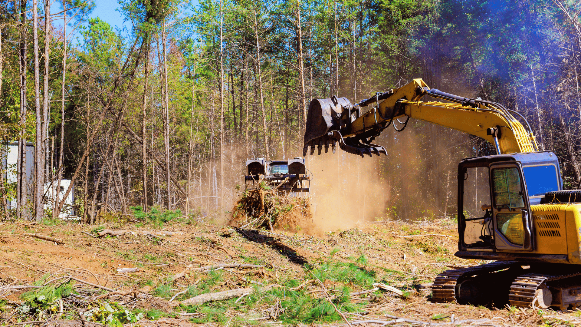 Houston, Texas Land Clearing Services - Affordable & Reliable